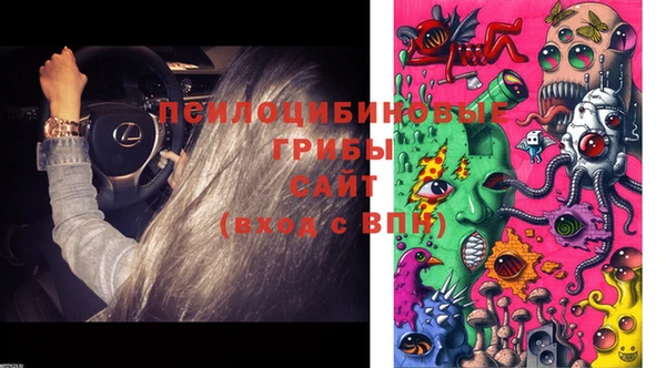 стаф Лиски