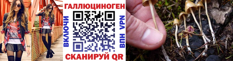 площадка формула  Екатеринбург  Псилоцибиновые грибы GOLDEN TEACHER 